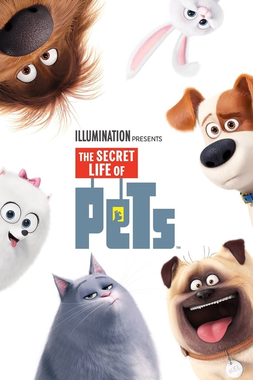 دانلود فیلم The Secret Life of Pets – زندگی پنهان جانوران خانگی