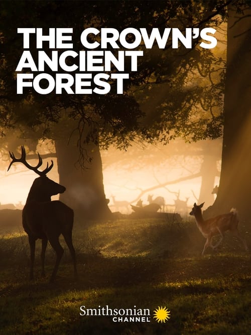 دانلود فیلم The Crowns Ancient Forest – جنگل باستانی تاج